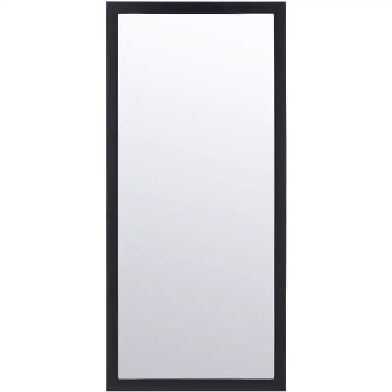 Pravina Mirror - 18 x 39.5 - MRR2005 - Safavieh